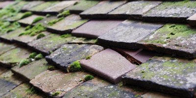 Malltraeth roof repair costs